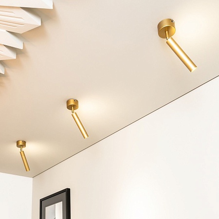 Потолочный светильник Eurosvet 20084/1 LED матовое золото - фото