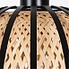 Подвесной светильник Arte Lamp WOODSTOCK A7071SP-1BK - фото