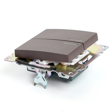 Выключатель 2-клавишный c индикатором (механизм), STEKKER GLS10-7102-04, 250В, 10А, серия Катрин, шоколад - фото