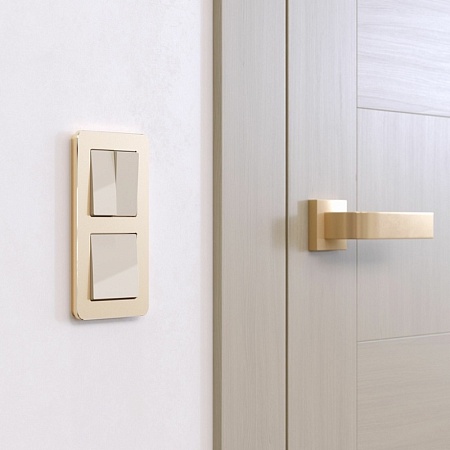 Рамка из металла на 2 поста Platinum шампань W0022611 - фото