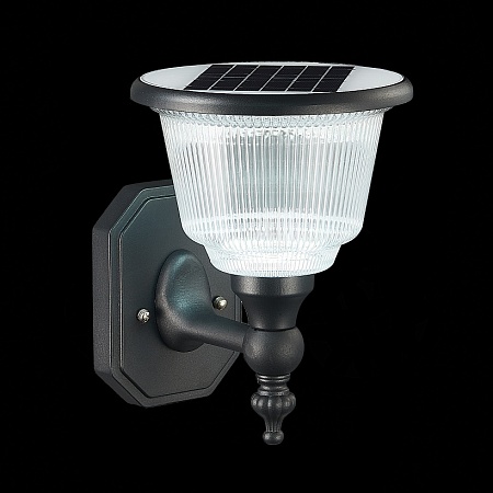 Светильник уличный настенный ST-Luce Черный/Черный, Прозрачный LED 1*2W 3000-6000K SL9502.401.01 - фото