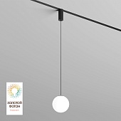 Светильник на шине Denkirs SMART MOON DK8052-BK
