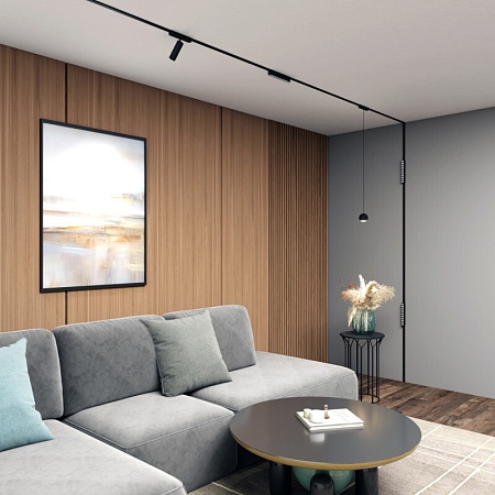 Светильник на шине Denkirs AIR HANG DK5316-BK - фото