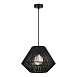 Светильник подвесной черный/черный E27 1*40W SLE6025-403-01 - фото