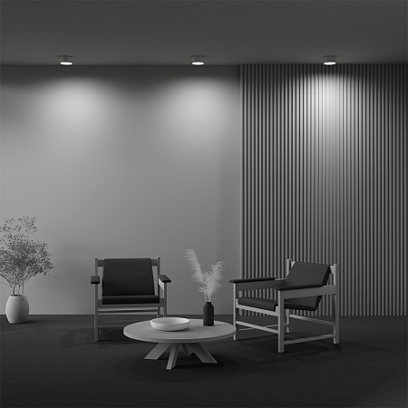 Потолочный светильник Technical Zon C032CL-12W3K-RD-MG - фото