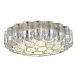 Светильник потолочный ST-Luce Никель/Никель, Прозрачный E14 19*60W SL1662.102.19 - фото