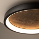 Потолочный светильник Maytoni Orign MOD311CL-L40B3K - фото