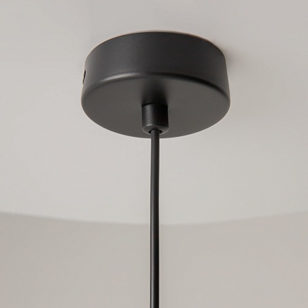 Подвесной светильник Maytoni Palette MOD303PL-01CFL2 - фото