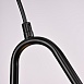 Подвесной Светильник Hoop Drop Black Imperiumloft 213738-26 - фото