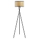 Торшер Lussole TRUXTON LSP-0633 - фото