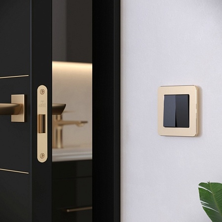 Рамка из металла на 1 пост Platinum шампань W0012611 - фото