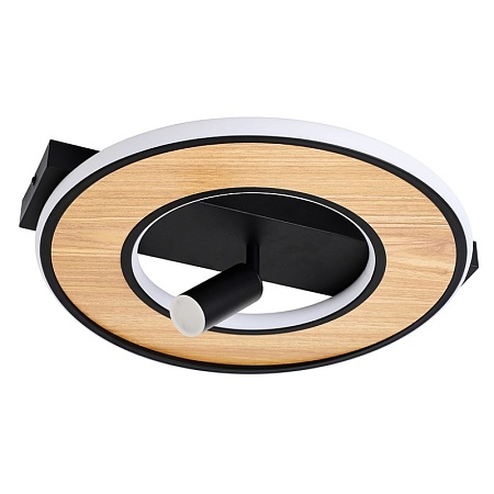 Потолочный светильник F-Promo 4438-2C - фото