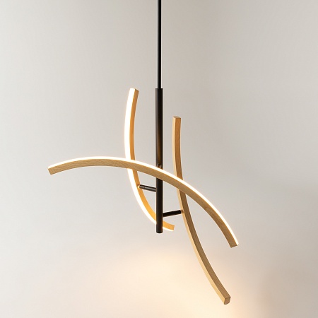 Подвесной светильник Maytoni MOD428PL-L20BK - фото