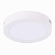 Светильник настенно-потолочный Белый LED 1*12W 4000K 795Lm Ra80 120° IP20 D160xH28 90-2 ST112.542.12 - фото