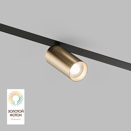 Светильник на шине Denkirs SMART SPOT DK8010-BG - фото