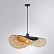 Подвесной светильник Arte Lamp WOODSTOCK A7063SP-1BK - фото
