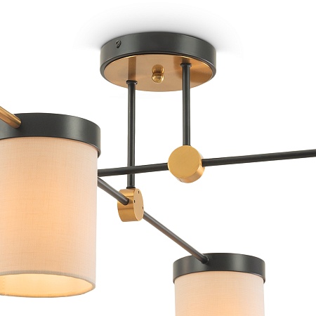 Потолочный светильник Freya Bogy FR5377CL-04B - фото