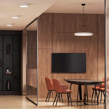 Потолочный светильник Arte Lamp FADO A6620PL-1WH - фото