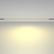 Трековый светильник Technical BASIS TR030-2-30W2.7K-B - фото