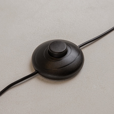 Напольный светильник (торшер) Maytoni Dress code MOD348FL-L24BBS3K - фото