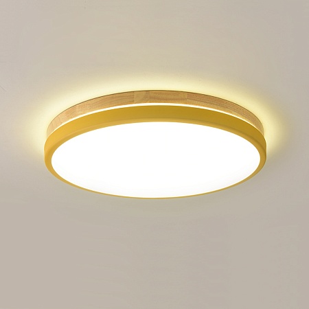 Потолочный Светильник Disc Dh D48 White Imperiumloft 189903-26 - фото
