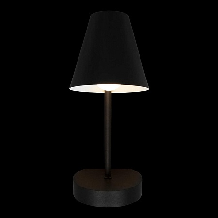 10216/1W Black Настенный светильник LOFT IT Shelf - фото