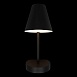 10216/1W Black Настенный светильник LOFT IT Shelf - фото