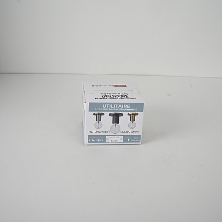 Потолочный Светильник Rh Utilitaire Socket Flushmount Black Imperiumloft 123676-22 - фото