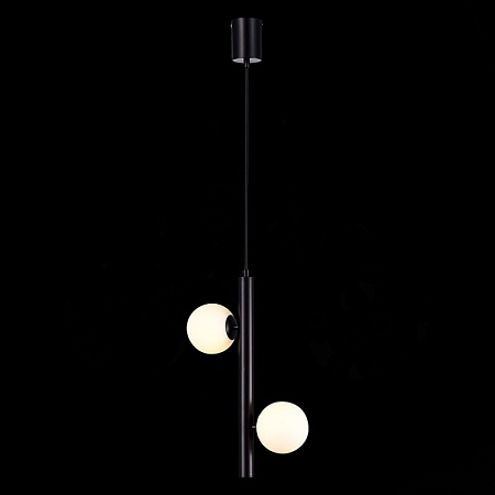 Подвес ST-Luce Черный/Белый G9 LED 2*5W SL1185.403.02 - фото