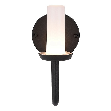 Светильник настенный ST-Luce темно-серый/белый LED 1*3W 3000K SL9539.701.01 - фото