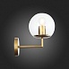 Светильник настенный ST-Luce Матовое золото/Прозрачный E27 1*40W SL1150.201.01 - фото