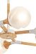 Потолочный светильник Freya Amy FR5105CL-06W - фото
