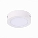 Светильник настенно-потолочный Белый LED 1*6W 4000K 370Lm Ra80 120° IP20 D110xH28 90-26 ST112.542.06 - фото