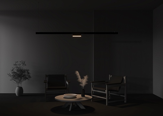 Трековый светильник Technical TR036-4-12WTW-DSZ-B - фото