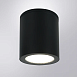 Уличный потолочный светильник Arte Lamp TORCULAR A1313PF-1BK - фото