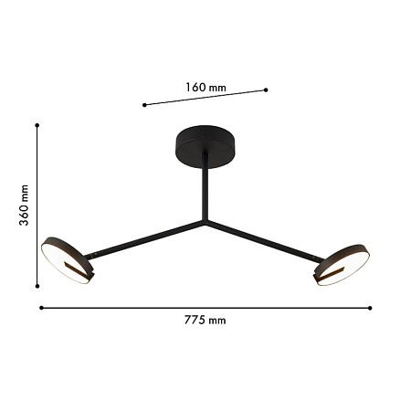 Потолочная люстра Favourite 4401-2C - фото