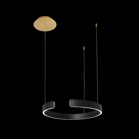 10025/400 Black Подвесной светильник LOFT IT Ring - фото