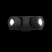 Светильник уличный настенный ST-Luce Черный/Черный, Прозрачный G5,3 2*3W SL093.401.02