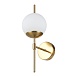 Настенный светильник (бра) Freya Damask FR5205WL-01BS - фото