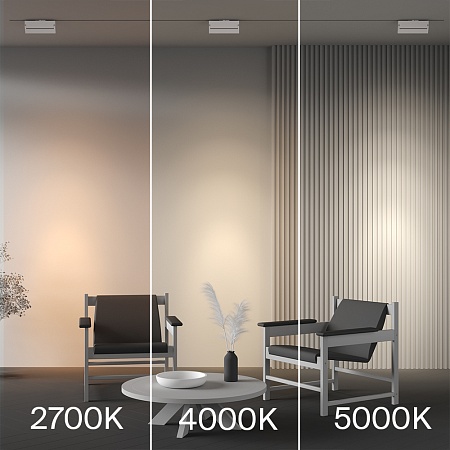 Трековый светильник Technical TR224-1-12WCCT-M-W - фото