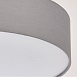 Светильник  дафна MW-Light  453011401 - фото
