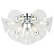 Люстра Lussole ONEIDA LSP-8196 - фото