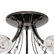 Люстра MW-Light Фиеста 267013505 - фото