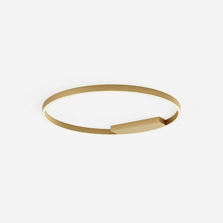 Потолочный светильник Maytoni Rim MOD058CL-L50BSK - фото