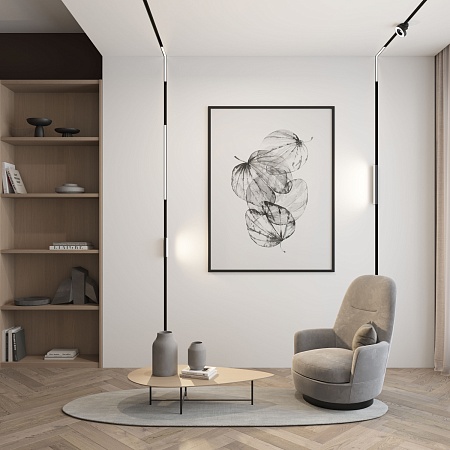 Светильник на шине Denkirs SMART LINEAR DK8005-BK - фото