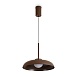 Подвесной светильник Freya FR5602PL-L5BR1 - фото