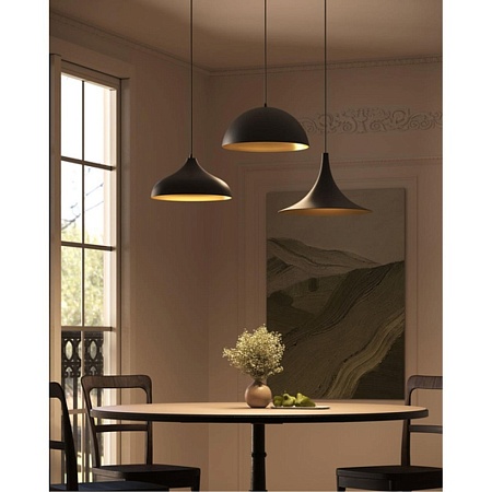 Подвесной светильник Arte Lamp CARMEL A7080SP-1BK - фото