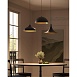Подвесной светильник Arte Lamp CARMEL A7080SP-1BK - фото