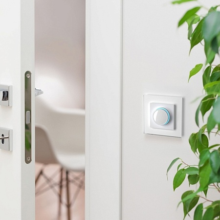 Рамка на 1 пост (белый,стекло) W0011101 - фото