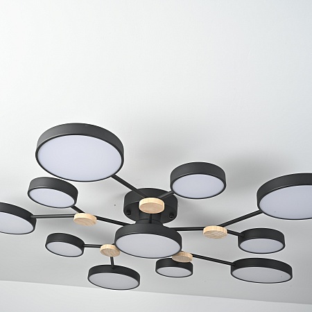 Потолочная Люстра Gamma D102 Black Imperiumloft 223770-23 - фото
